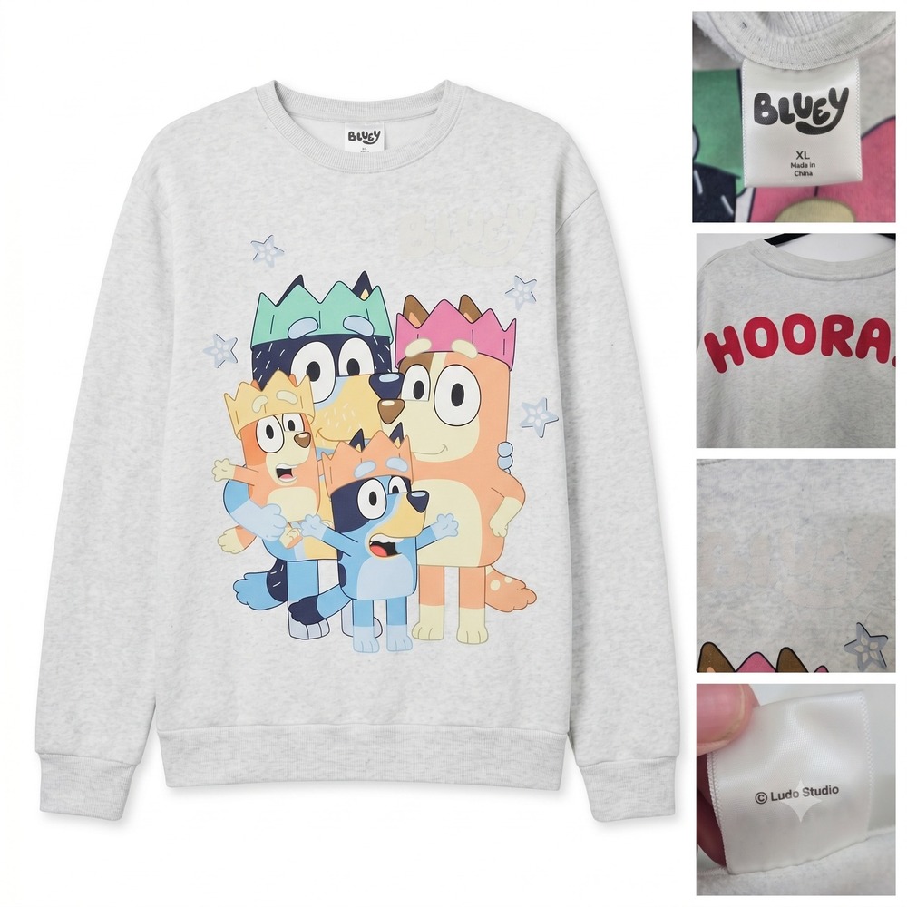 Bluey Heeler Family Sweatshirt Womens XL Gray Hooray Graphic Pullover (Ludo)